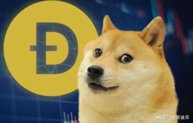 狗狗幣今日行情概覽，最新價格走勢分析